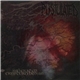 Pustulated - Inherited Cryptorchidism