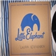 Laura Stevenson - Little Elephant Session