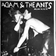 Adam & The Ants - Milan 16.10.78