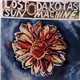 Lost Dakotas - Sun Machine