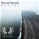 David Surok - Aerial