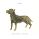 PJ Harvey - A Dog Called Money / I'll Be Waiting