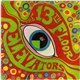 The 13th Floor Elevators - The Psychedelic Sounds Of The 13th Floor Elevators