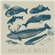 Whales Of Wales - Whales Of Wales