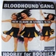 Bloodhound Gang - Hooray For Boobies