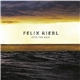 Felix Riebl - Into The Rain