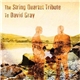 David Ari Leon - The String Quartet Tribute To David Gray