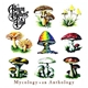 The Allman Brothers Band - Mycology • An Anthology