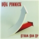 Dug Pinnick - Strum Sum Up