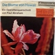 Paul Abraham - Die Blume Von Hawaii