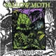 Sallow Moth - Deathspore
