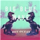 Hey Ocean! - Big Blue Wave