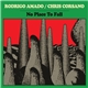 Rodrigo Amado / Chris Corsano - No Place To Fall