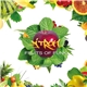 DJ Tron - Fruits Of Funk