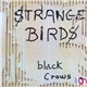 Black Crows - Strange Birds