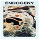 Gen Ken Montgomery - Endogeny
