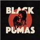 Black Pumas - Black Pumas