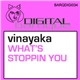 vinayaka - What's Stoppin You