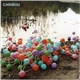Caribou - Tour CD 2007