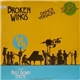 Mr. DJ - Broken Wings