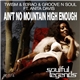 Twism & B3RAO & Groove N Soul Ft. Anita Davis - Ain't No Mountain High Enough