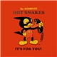 Hot Snakes - The Incomplete Hot Snakes