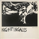 The Nightingales - 1983-84 Just The Job