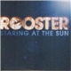 Rooster - Staring At The Sun
