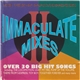 The Vision Mastermixers - Immaculate Mixes II