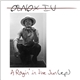 Obnox - A Ragin' In The Sun (EP)