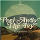 The Pattern Forms - Peel Away The Ivy