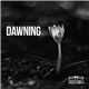 Roman Ridder - Dawning