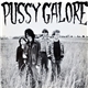 Pussy Galore - Groovy Hate Fuck