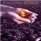 Mickey Noble - A Hidden World