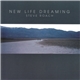 Steve Roach - New Life Dreaming