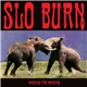 Slo Burn - Amusing The Amazing