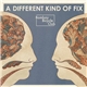 Bombay Bicycle Club - A Different Kind Of Fix