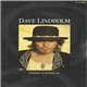 Dave Lindholm - Sitähän Se Kaikki On