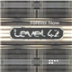 Level 42 - Forever Now