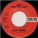 Gayle Harris - Here Come The Hurt / Don't You Love Me No More