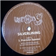 Silverlining - Precision Spanner