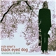 Nick Smart - Black Eyed Dog - Remembering Nick Drake