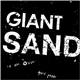 Giant Sand - Is All Over The Map