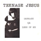 Teenage Jesus And The Jerks - Orphans