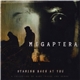 Megaptera - Staring Back At You