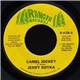 Jerry Soyka - Camel Jockey