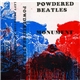 Powdered Beatles - Monument