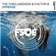 The Thrillseekers & Factor B - Immerse