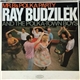 Ray Budzilek & The Polka-Town Boys - Mr. B's Polka Party