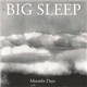 Big Sleep - Moonlit Days